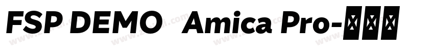 FSP DEMO   Amica Pro字体转换